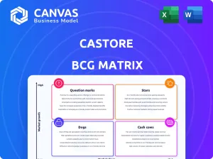 CASTORE BCG MATRIX