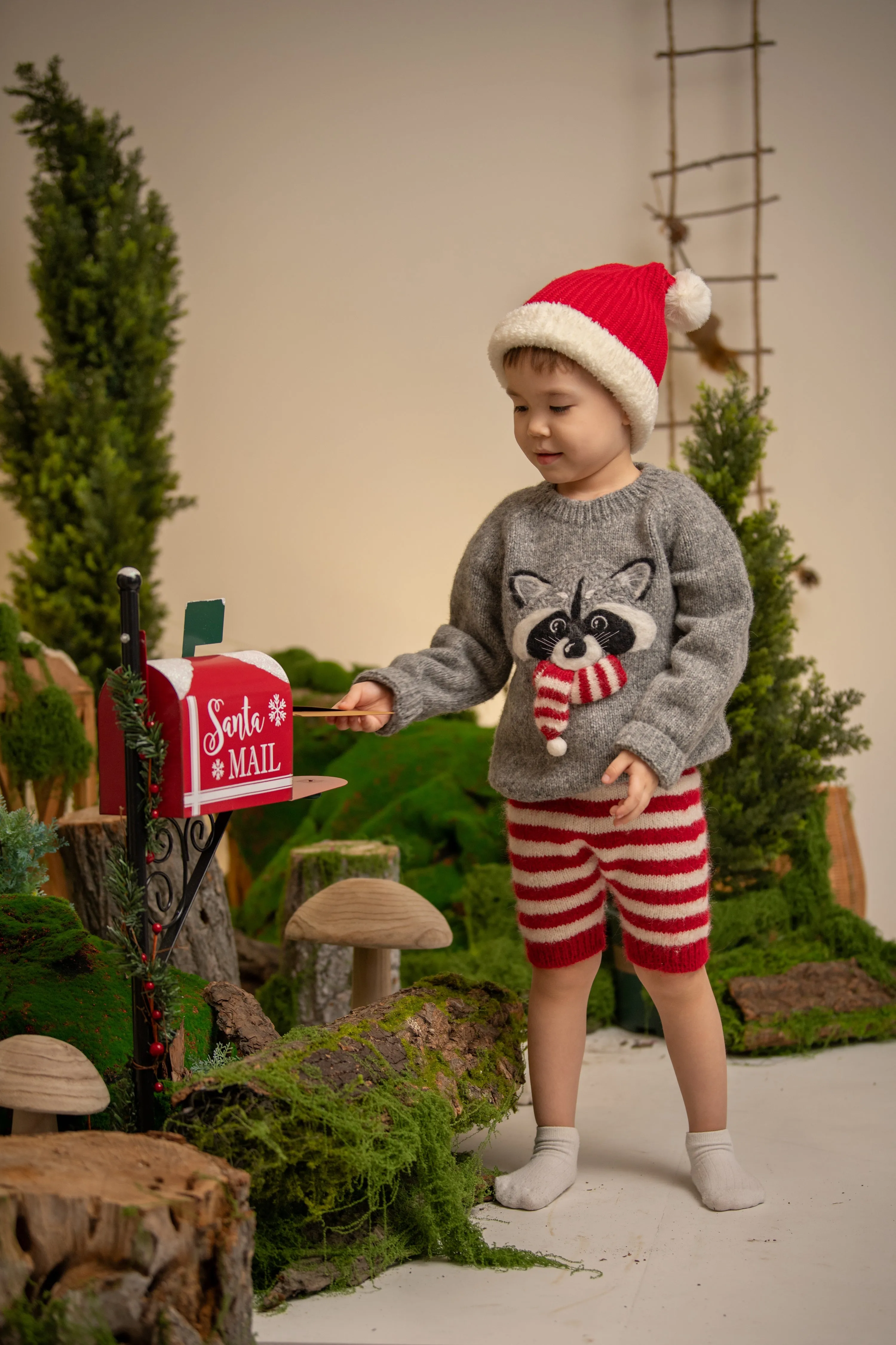 Festive Raccoon jumper | Dark grey