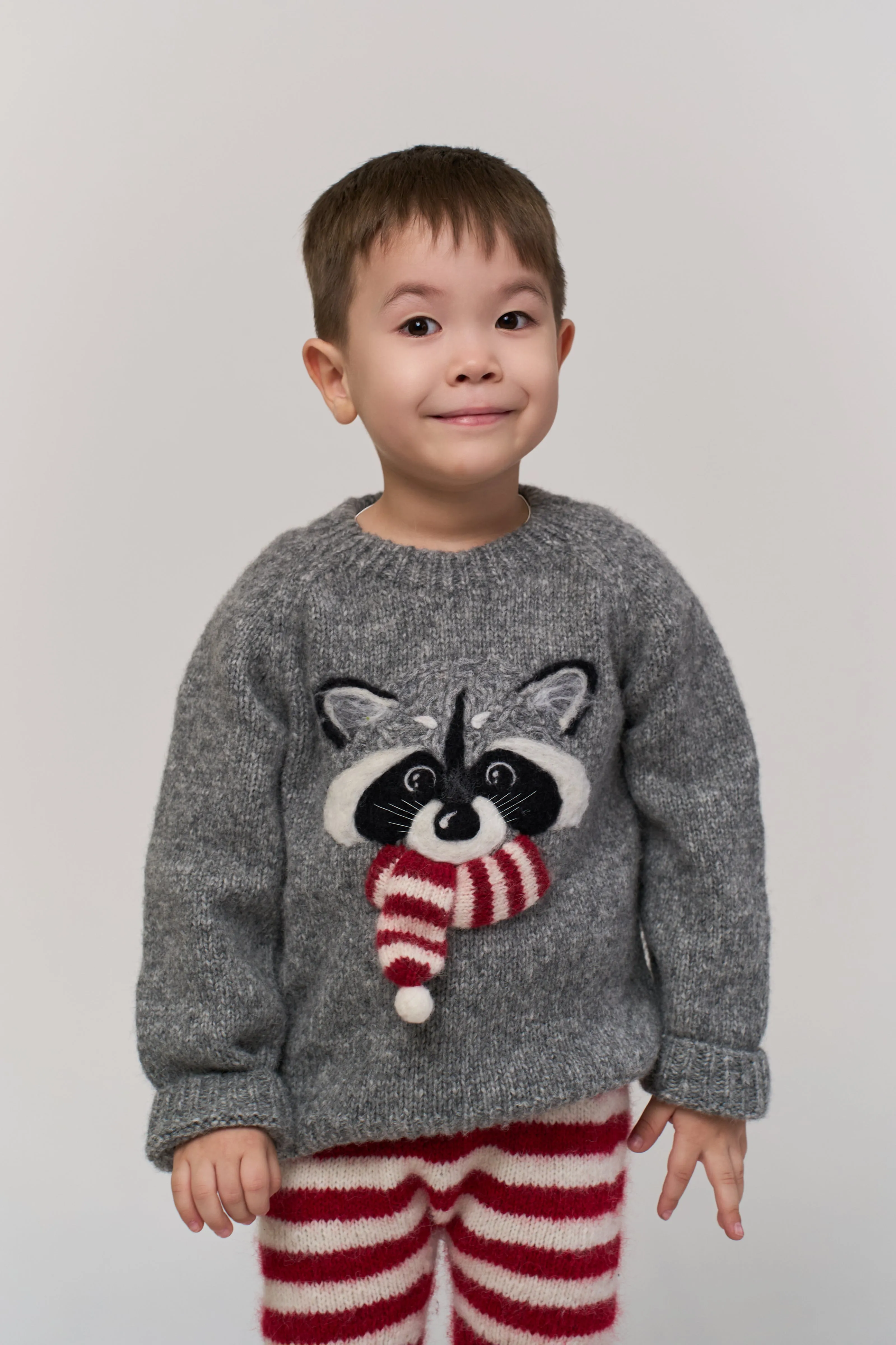 Festive Raccoon jumper | Dark grey