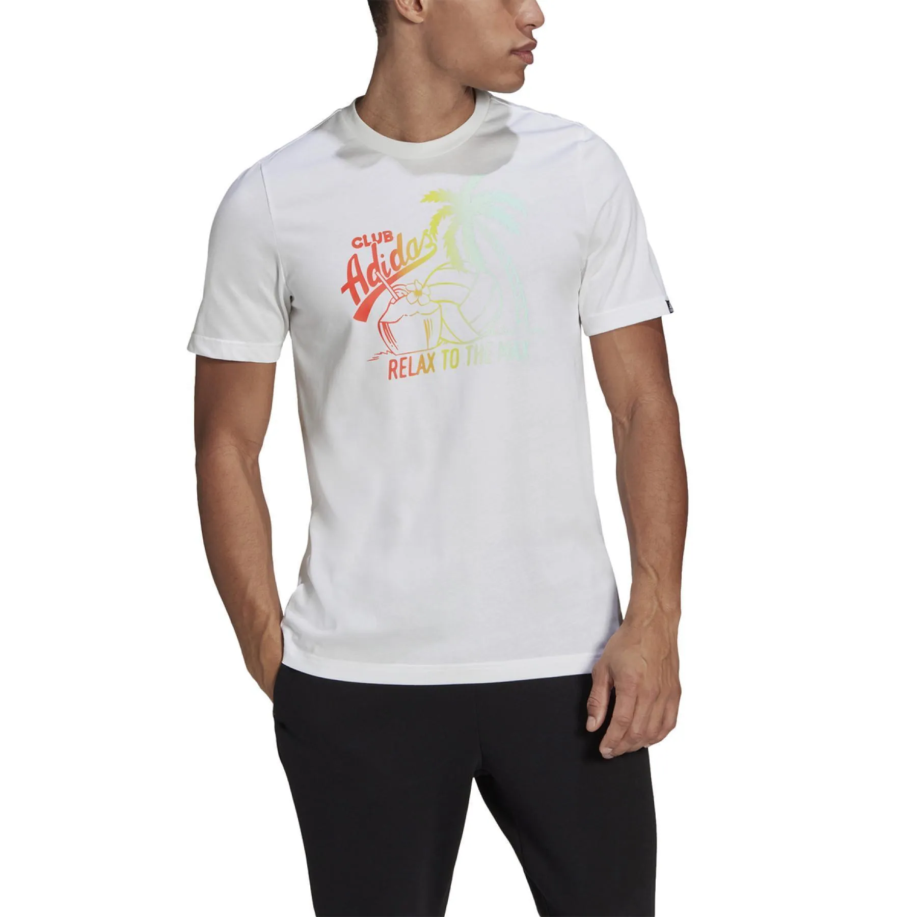 T-SHIRT ADIDAS UOMO MAGLIA PALMS TRAINING FITNESS BIANCA