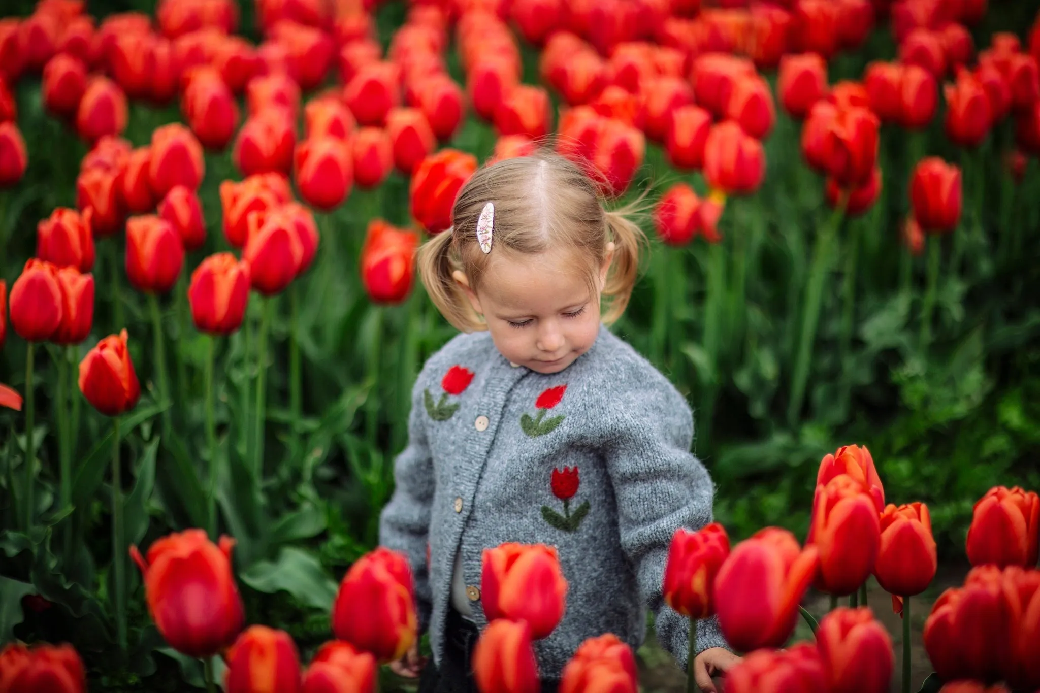 Tulips Cardigan | Dark Grey