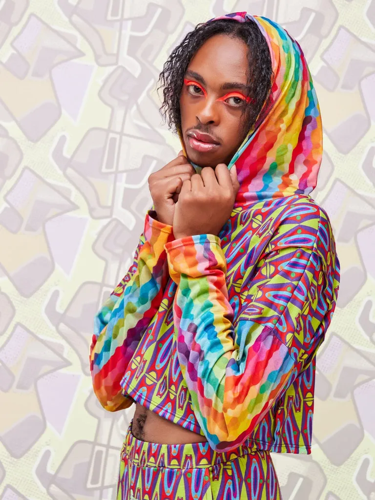 Zoya Brave Hoodie Print Crop Top - Geometric / Rainbow Print